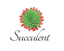 Succulent